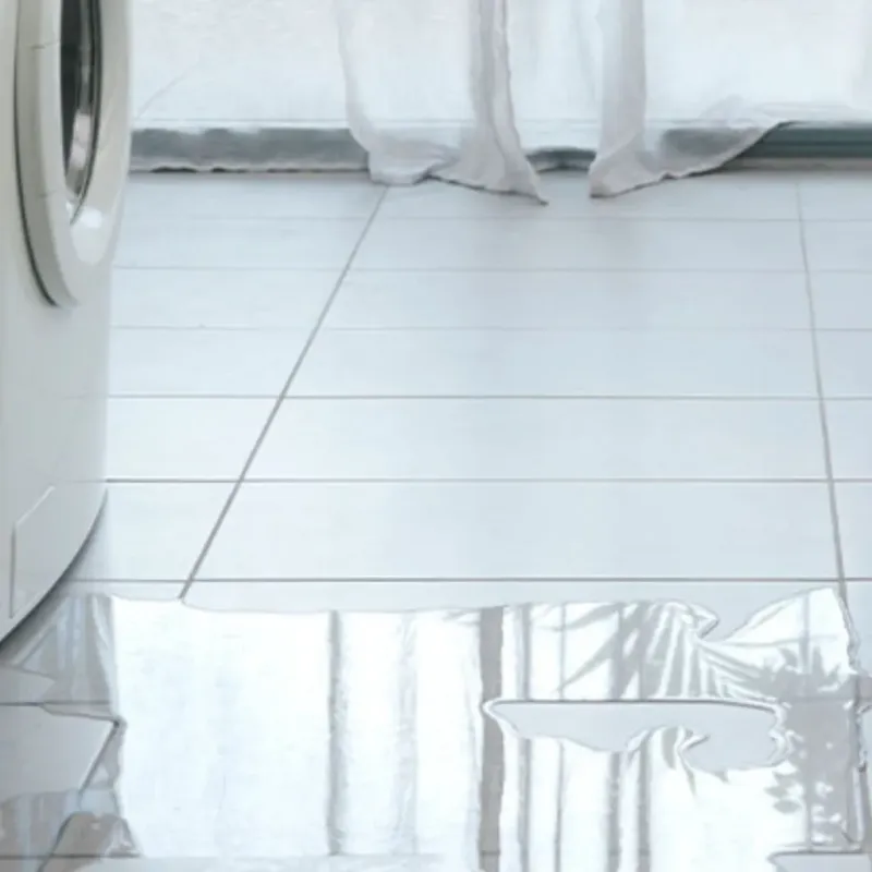 Appliance Leak Cleanup in Pleasant Hill, NC