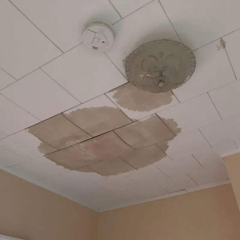 Ceiling Water Damage Repair in Pleasant Hill, NC