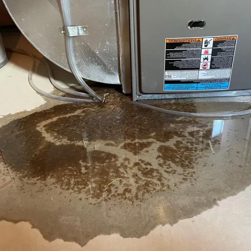 Pipe Burst and Leak Restoration in Pleasant Hill, NC