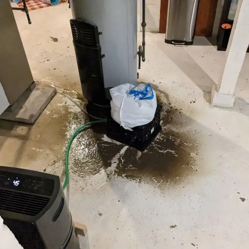 Sewage Backup Cleanup Service in Pleasant Hill, NC